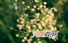 2022年白露节气是农历几月几号优质