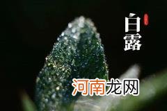 2022年白露节气是农历几月几号优质