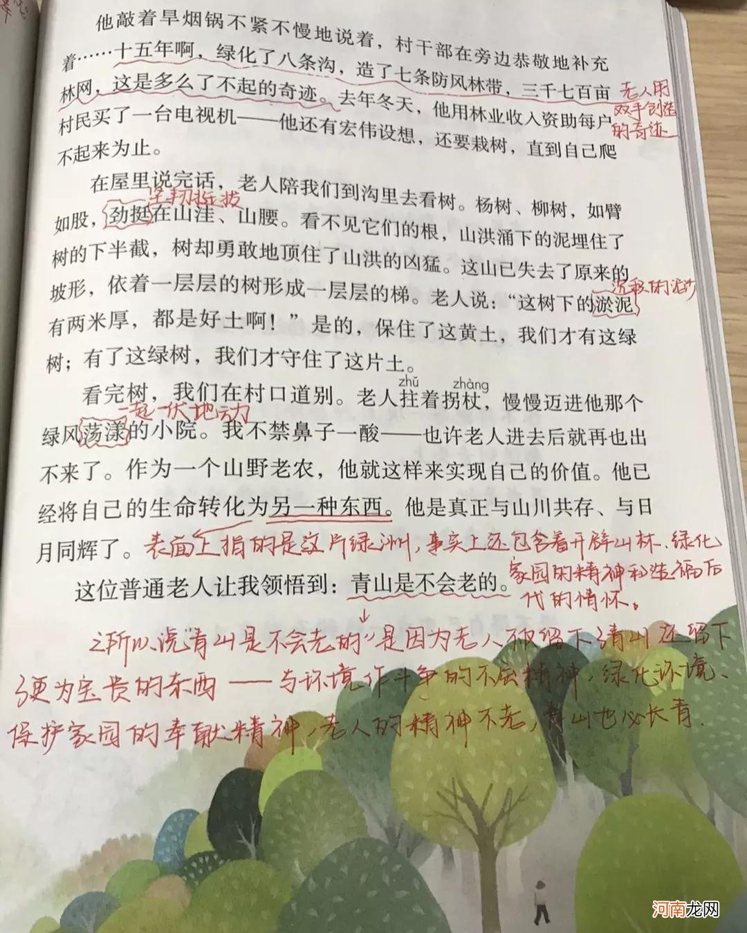 青山不老主要内容概括