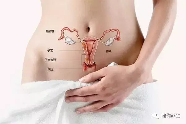 不排卵的女性有哪些表现 女性不排卵会有什么症状