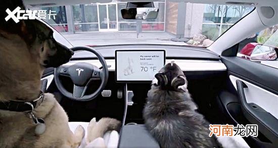 特斯拉Model X Plaid进行Dog Mode测试