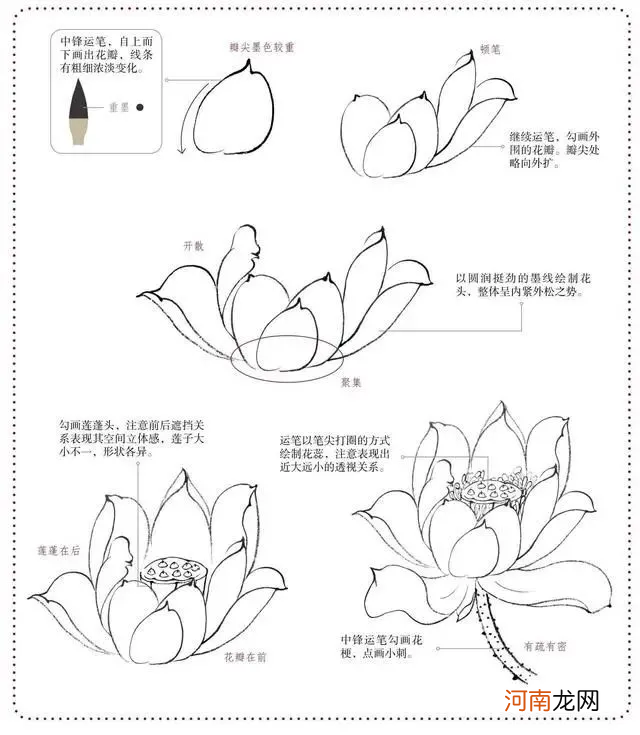 工笔是哪种绘画形式的技法求答案