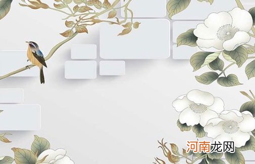 2022年10月2日出生女宝宝是什么命 虎年楚辞中的女孩灵动名字