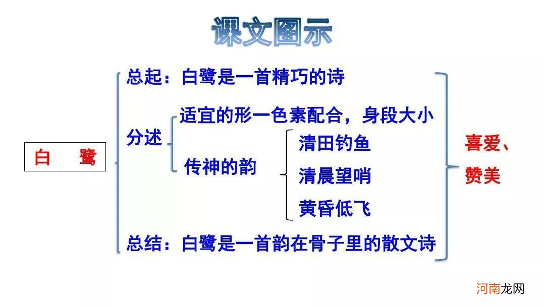 望哨的意思在《白鹭》中的意思