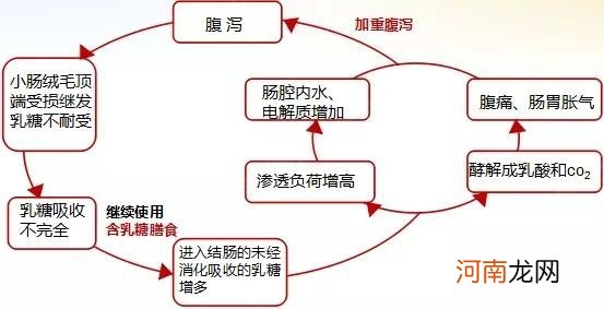 喝牛奶粉过敏的宝宝，喝羊奶粉就不过敏了？别拿孩子当小白鼠了