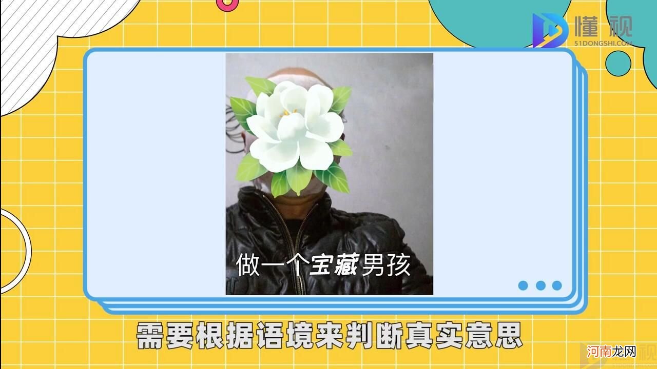 宝藏男孩是什么意思