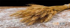 什么是全麦粉优质