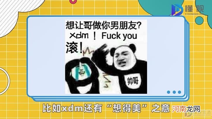 xdm是什么意思