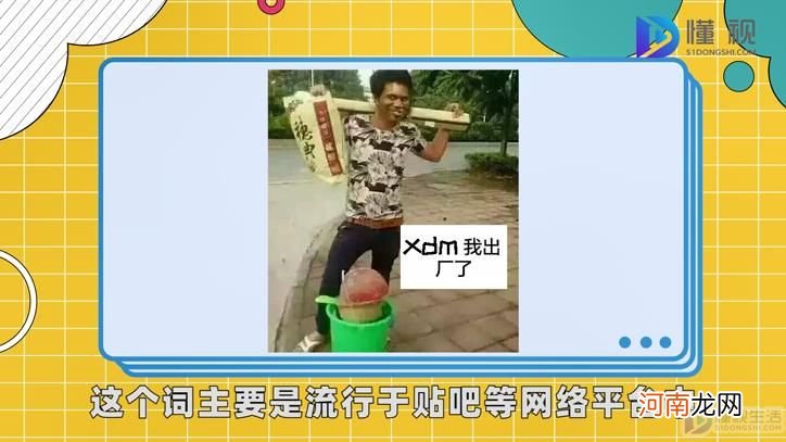 xdm是什么意思