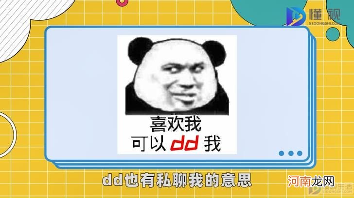 dd是什么意思