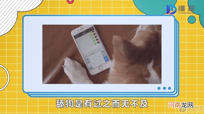 舔狗是什么意思