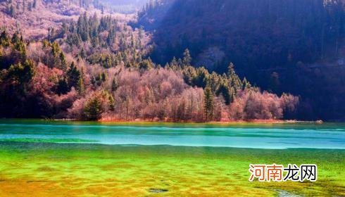迄今中国第二大世界自然遗产是什么优质