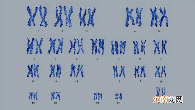 没有痛觉、疲劳感和饥饿感是啥体验？这位英国女孩正在经历这一切