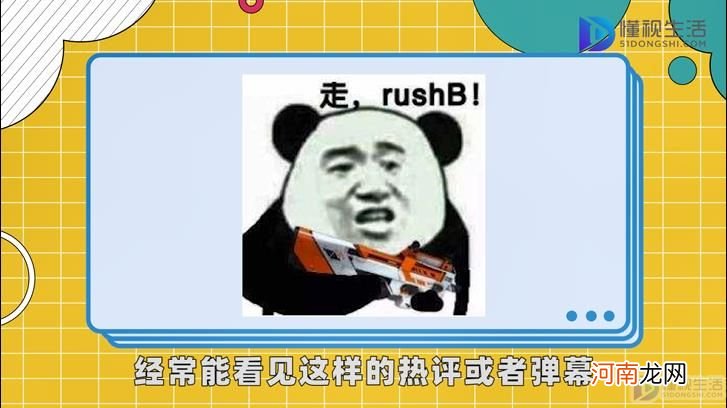 rushb是什么梗