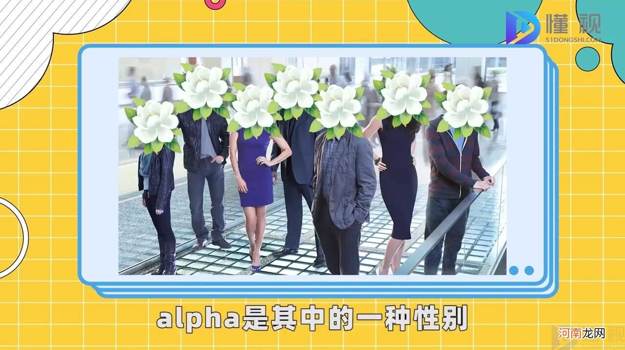 alpha是什么意思