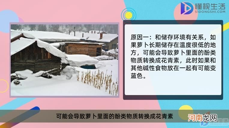 萝卜变蓝色是什么原因