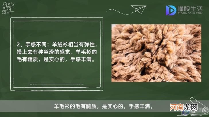 羊绒衫和羊毛衫的区别