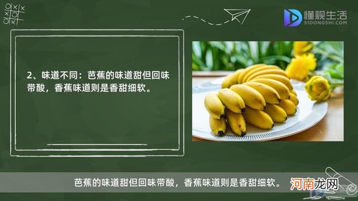 芭蕉与香蕉的功效区别