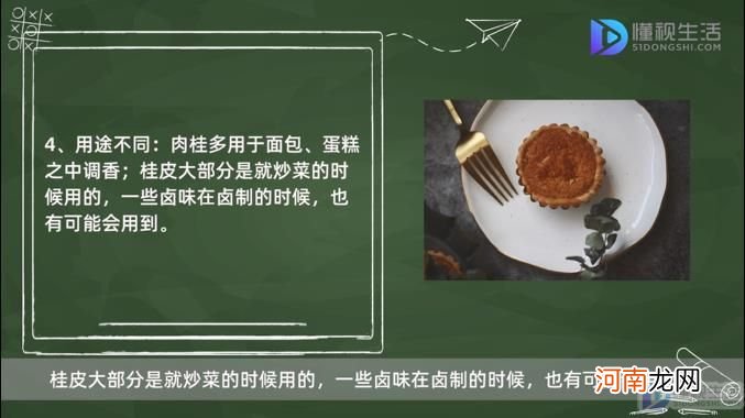 肉桂是桂皮吗