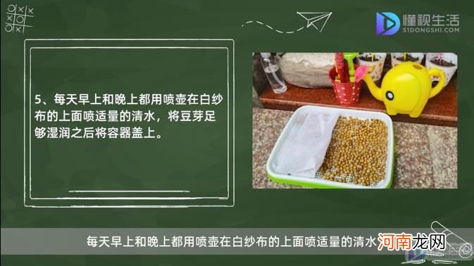 绿豆芽怎么发豆芽的步骤