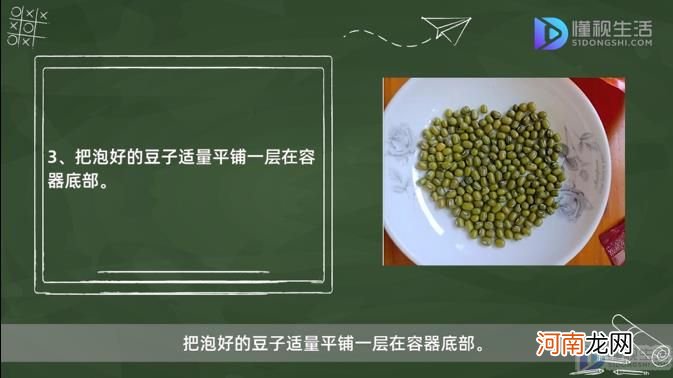 绿豆芽怎么发豆芽的步骤