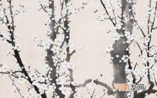 2022年10月出生男孩适合取什么名字 神采奕奕的属虎小孩起名