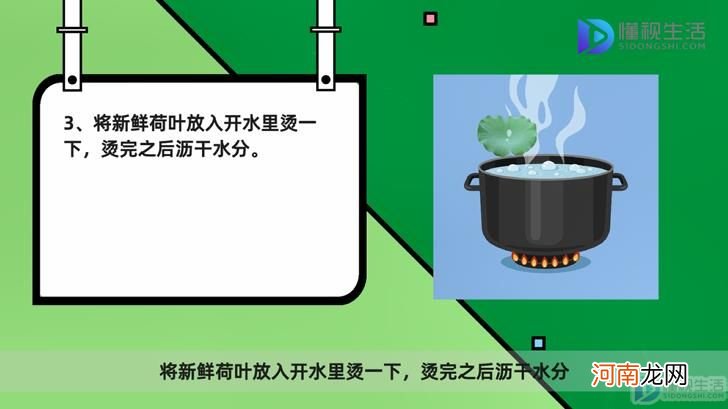 新鲜荷叶怎么保存