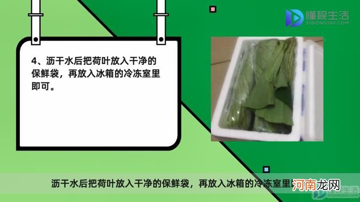 新鲜荷叶怎么保存