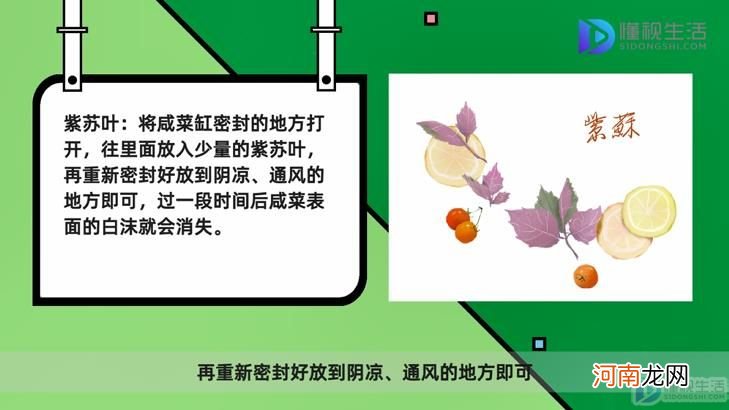 咸菜缸里起白沫了怎么办