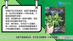 花椒叶可以冷冻保存吗