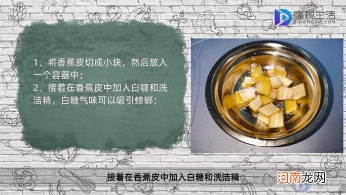 怎么驱赶蟑螂