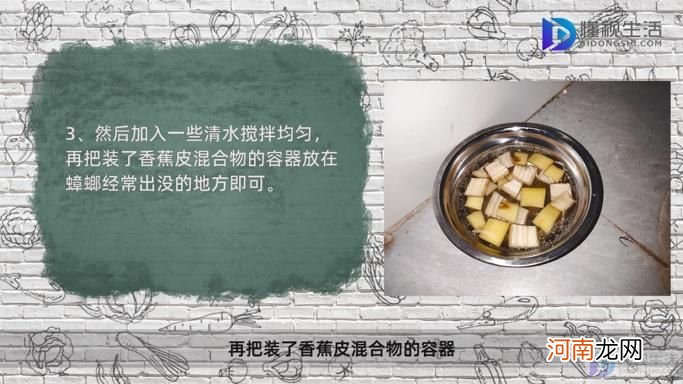 怎么驱赶蟑螂