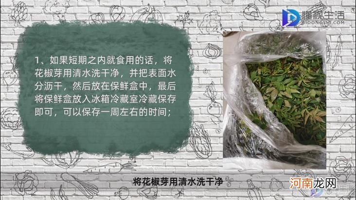 鲜花椒芽怎么保存不变色