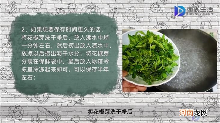 鲜花椒芽怎么保存不变色