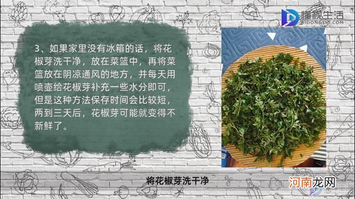 鲜花椒芽怎么保存不变色