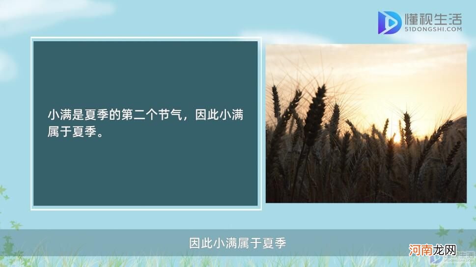 小满是什么季节