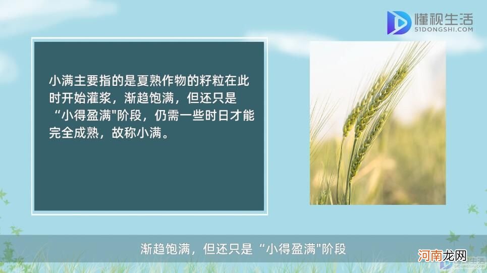 小满是什么意思