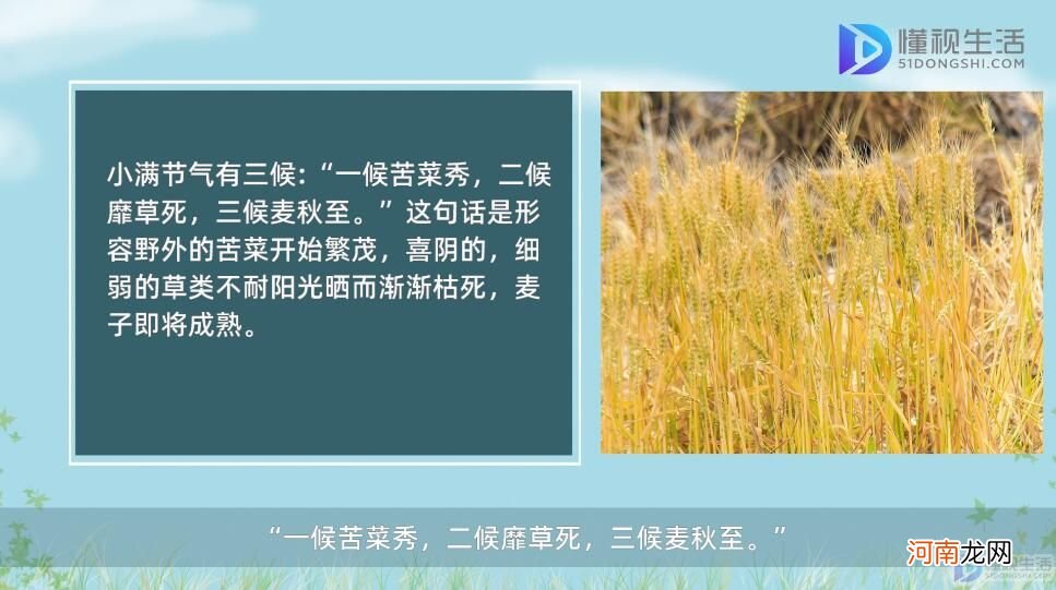 小满是什么意思