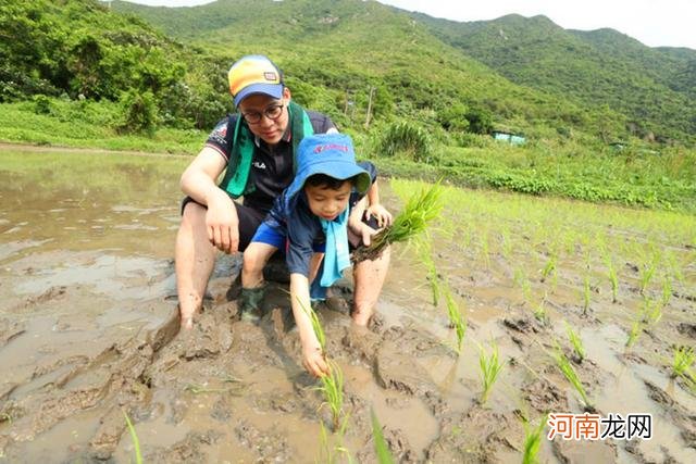 沉迷于“垃圾快乐”的孩子，未来一眼到头，别指望孩子以后有出息