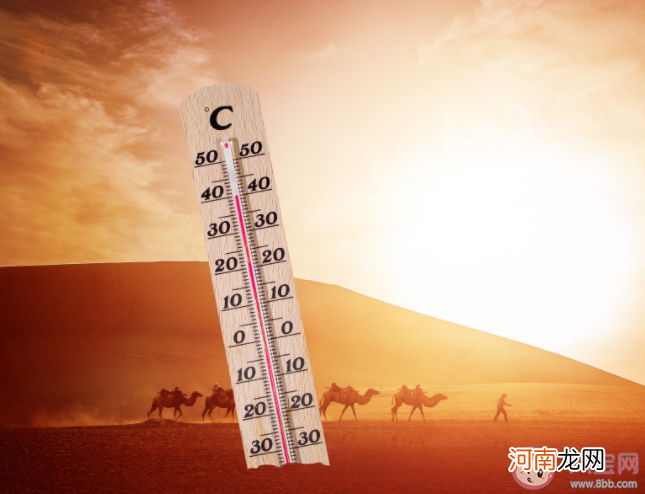 今年夏天|今年夏天是未来10年最凉爽的吗 如何面对更热的夏天