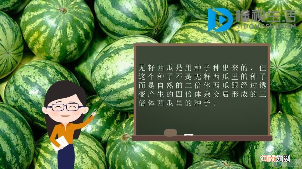 无籽西瓜怎样繁殖