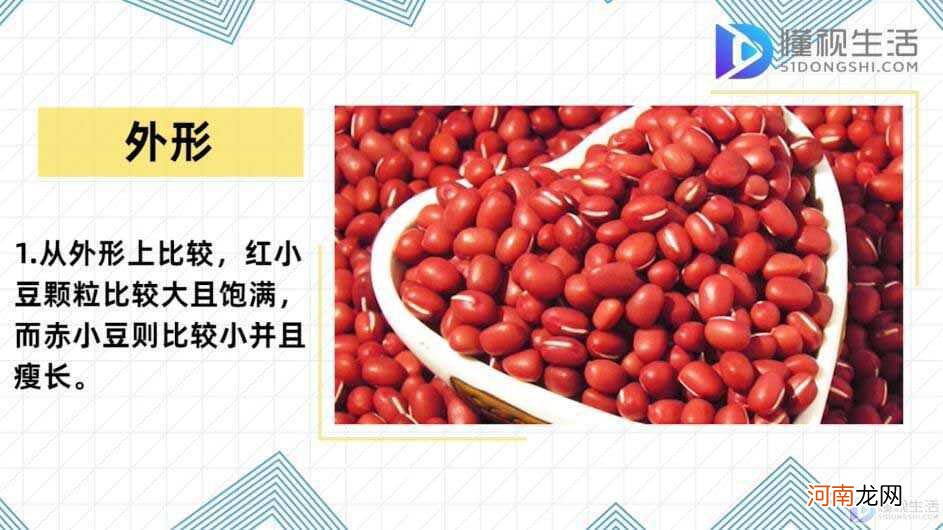 红豆与赤小豆的区别