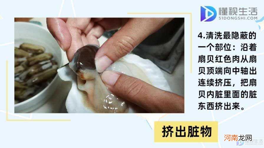 扇贝怎么清洗