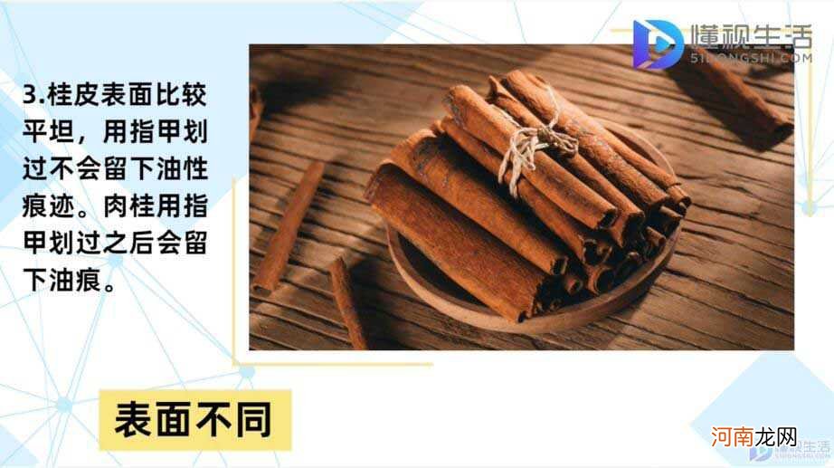 肉桂和桂皮的区别