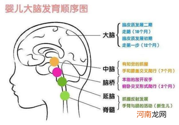 哈佛研究：孩子一生有3次“变聪明”的机会，建议为孩子抓住一次