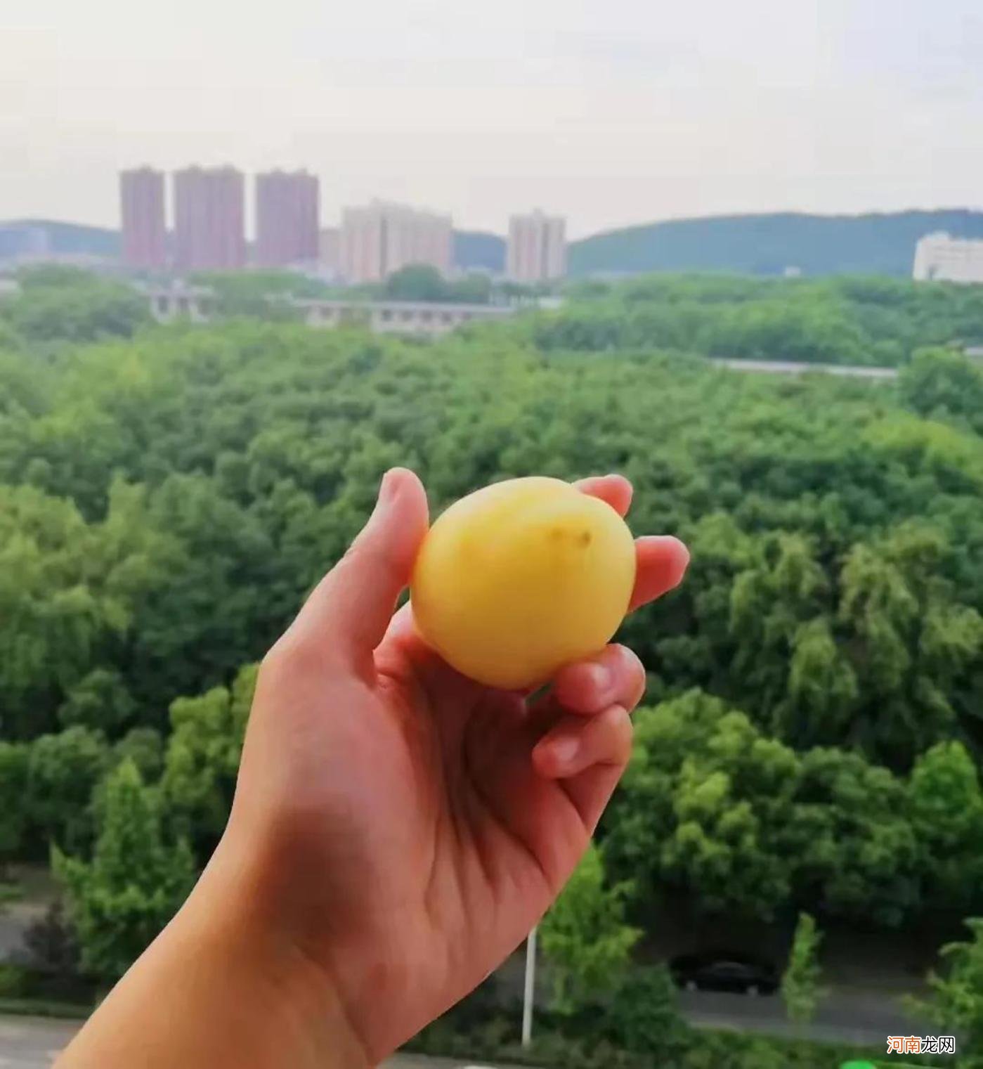 这些来自陌生人的善意，让我决定继续留在城市里