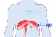 打嗝是膈肌痉挛的结果 为什么宝宝老打嗝呢