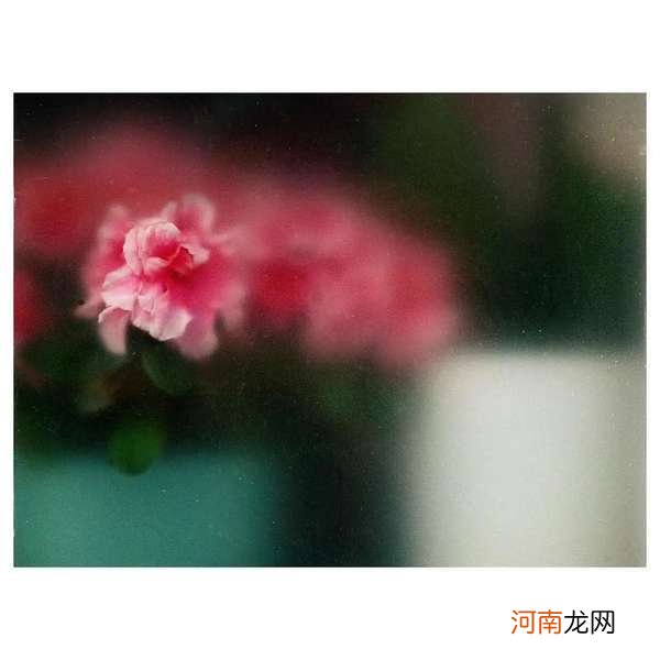 跟摄影师学习如何从生活中寻找灵感拍出美照