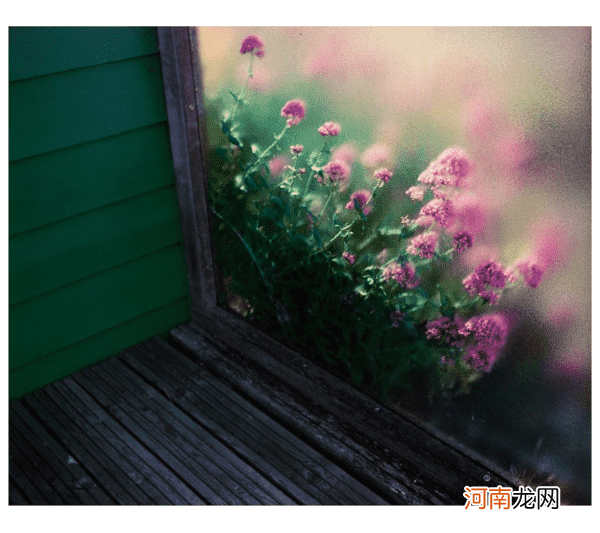 跟摄影师学习如何从生活中寻找灵感拍出美照