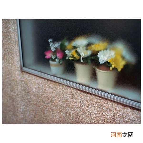 跟摄影师学习如何从生活中寻找灵感拍出美照